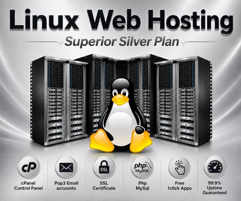 Silver Hosting - VPS